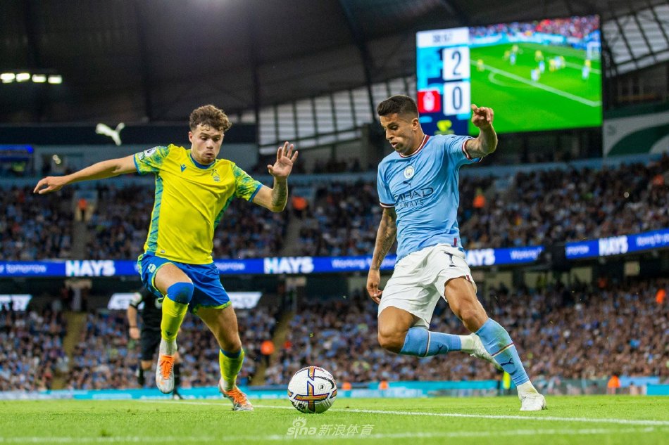 经验的他们 经验的他们